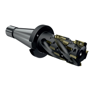 AH290-R080.080.05.K50 фреза торцово-цилиндрическая 80х80х245, NT50